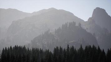 A view of a mountain range with trees in the foreground video