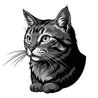 A cat is shown in a black and white drawing vector