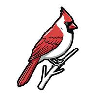 A red cardinal bird sitting on a branch vector