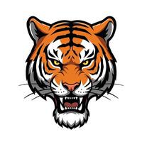 An angry tiger head on a white background vector