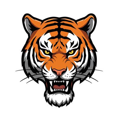 An angry tiger head on a white background