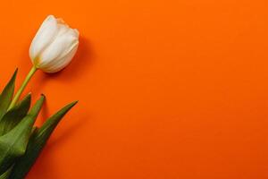 Spring tulip arrangement for Mother's Day and International Women's Day photo