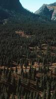 aerial view of mountain road and forest video