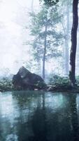 Mist on pond in forest with fog video
