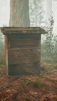 Old wooden beehive in forest in fog video