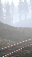 empty railway goes through foggy forest in morning video