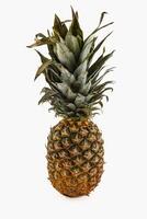 Fresh pineapple standing upright against a plain background photo