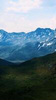 sunny landscape with views of snow-capped mountains and meadow video