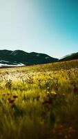 panoramic view of alpine mountain landscape in the Alps video