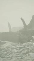 rocky cliff with sand beach in deep fog video