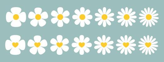 Daisy chamomile flower. Beautiful Collection of Hand-Drawn Daisy Flowers with Yellow Heart Centers on a Soft Pastel Background for Easter and Spring Decorations vector