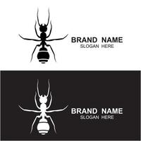 set of ant logo design vector
