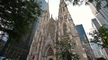 nuevo York ciudad, EE.UU, agosto 14, 2024. el gótico S t. patrick's catedral en un inclinación disparo. eso es sorprendentes en comparación con el moderno rascacielos ese rodear él. hermosa verano día. video