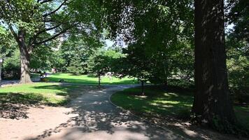 New York City, USA, August 14, 2024. Engaging POV footage on a path in Central Park, we walk around exploring the park and seeing other people around us enjoying the quiet of nature. video
