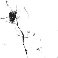 Organic Leaf Stains Grunge Background for Nature Themes vector
