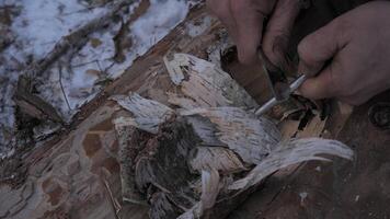 Starting a Fire with a Ferro Rod in Winter, Close-up of hands using a ferro rod to ignite birch bark tinder in a snowy outdoor setting. The scene reflects survival, bushcraft skills. video