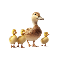 Adorable Duck Family With Baby Ducks Transparent Background png