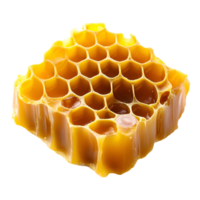 Natural Honeycomb Structure With Bee Transparent Background png