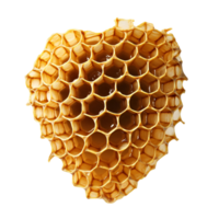 Honeycombs isolated on transparent background png