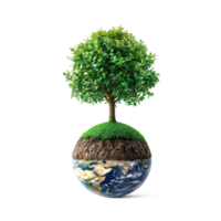 earth and tree on a globe isolated on transparent background png