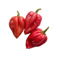 three red hot peppers on transparent background png