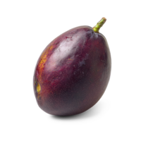 Mango Fruit isolate on transparent background png