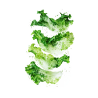 Lettuce isolate on transparent background png