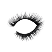 eyelashes on a transparent background png