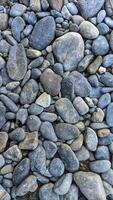 Full frame image of many gray round gravels arranged in compact order. photo