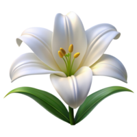 White lily flower 3d render isolated on transparent png