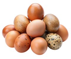 A Pile of chicken eggs and quail eggs on a transparent background png