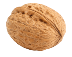 Single walnut on a transparent background png