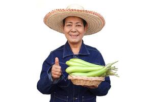 Asian senior woman farmer holds basket of green eggplants, raise thumb up with satisfied, isolated on white background. Concept, agriculture lifestyle. Home grown crops for healthy eating. photo