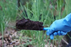 Close up farmer hands holds compost soil to fertilize plants in garden. Concept, agriculture crops nourishment by using compost for organic farming instead of using chemical fertilizers. photo