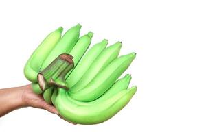 Green bananas, isolated on white background. Concept, agriculture crop. Organic fruits. Cavendish Bananas. Delicious, good smell and good for health. Famous tropical fruits in Thailand. photo