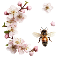 Honeybee on Blossoming Tree Transparent Background png