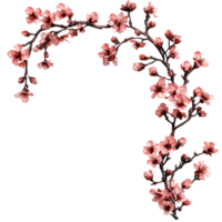 Cherry Blossoms And Budding Branches Floral Art Transparent Background png