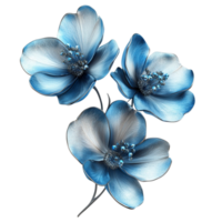 Blue Flower with Transparent background png