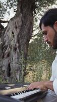 Sicilian Man Walks With Keyboard In The Countryside Playing Traditional Music video