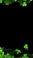 Clovers Frame With Copy Space For St Patrick Day On Black Background video