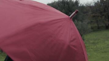 Red Umbrella Spinning Fast On A Cloudy Day On A Meadow In Nature video