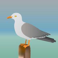 An illustration of a seagull standing on a pole vector