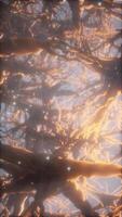 Journey through a neuron cell network inside the brain video