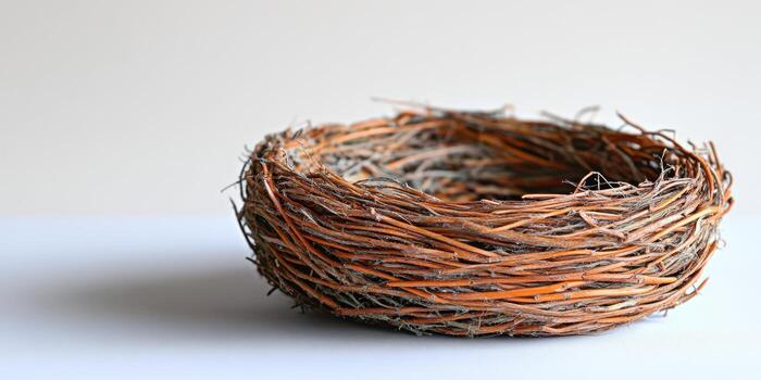 Rustic handmade bird nest crafted from twigs displayed on a clean surface in natural light photo