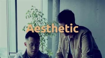 Aesthetic Intro Slideshow motion_graphic