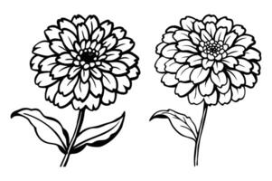 A vibrant orange zinnia in a summer meadow vector