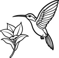 Tiny Wonder A Colorful Hummingbird Hovering Near a Flower vector