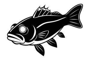 Walleye A prized fish known for its night vision free vector