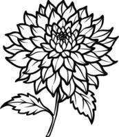 chrysanthemum blooming in autumn vector