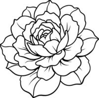 peony with soft, layered petals vector